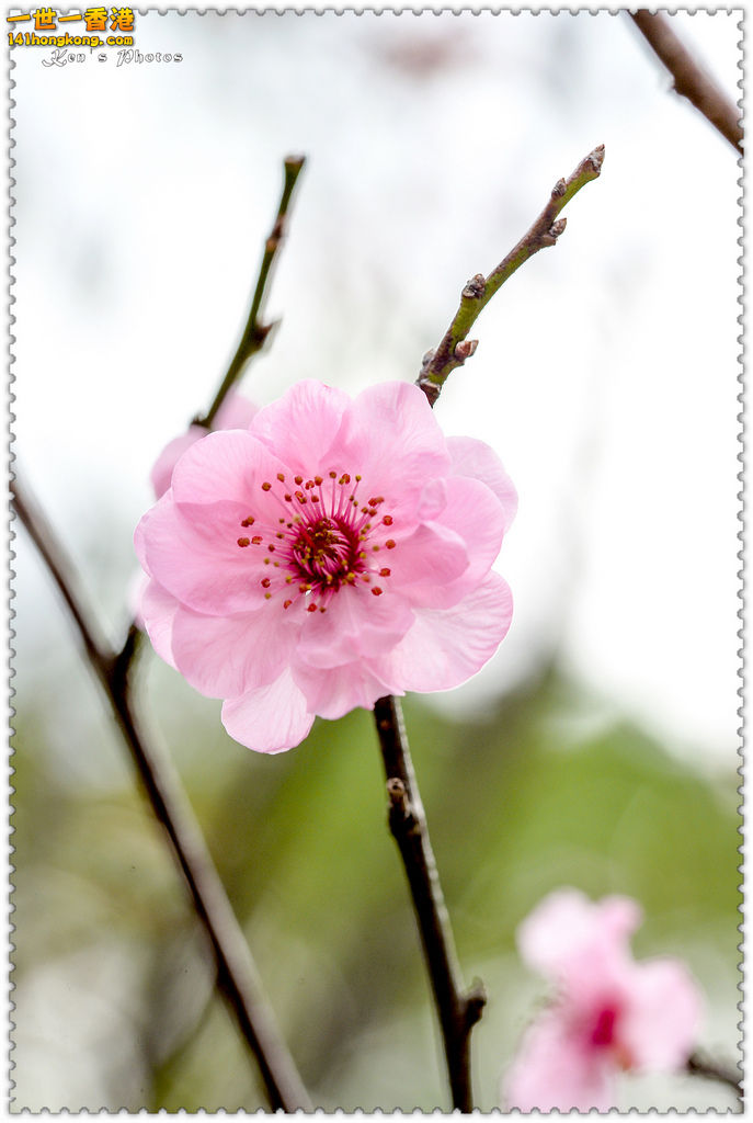 20150419學校旅行1088.jpg