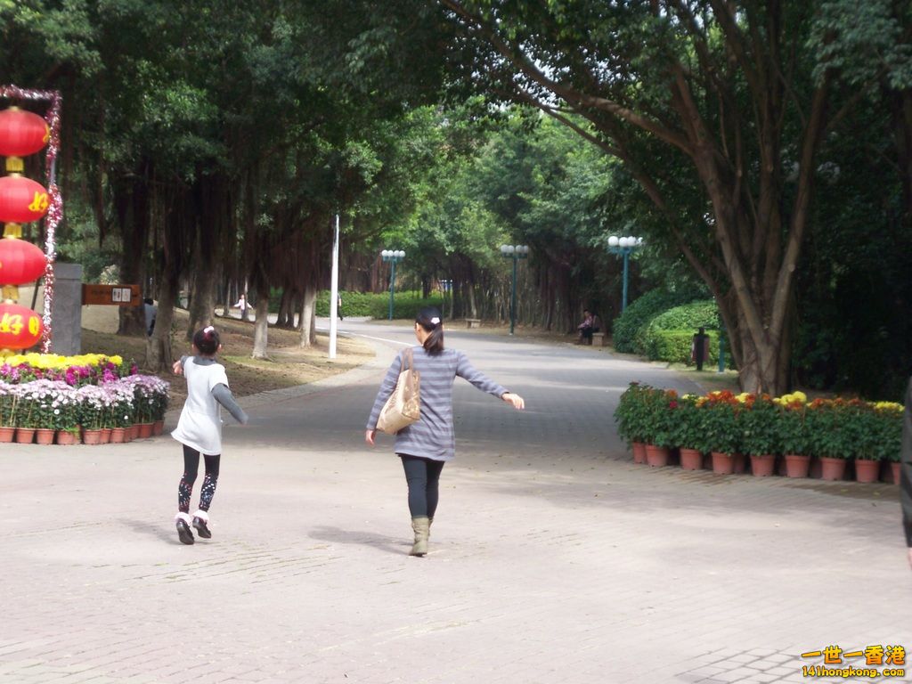 1-101_9983.JPG