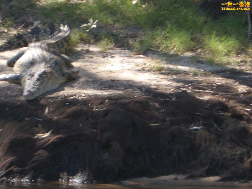 050527 369.JPG