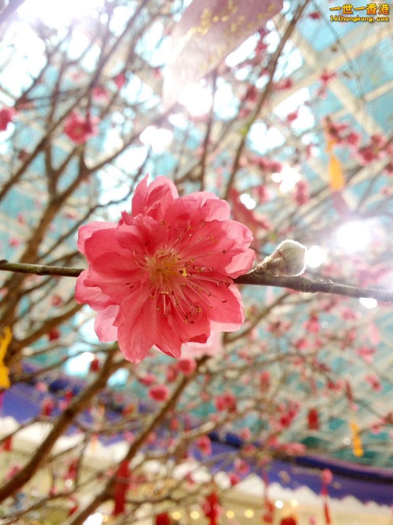 20160130_174915.jpg