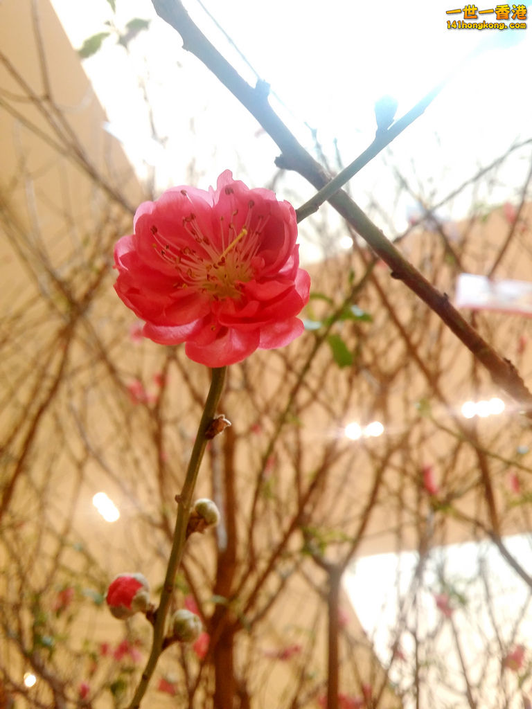 20160206_130339.jpg