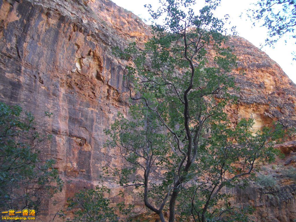 050527 195.JPG