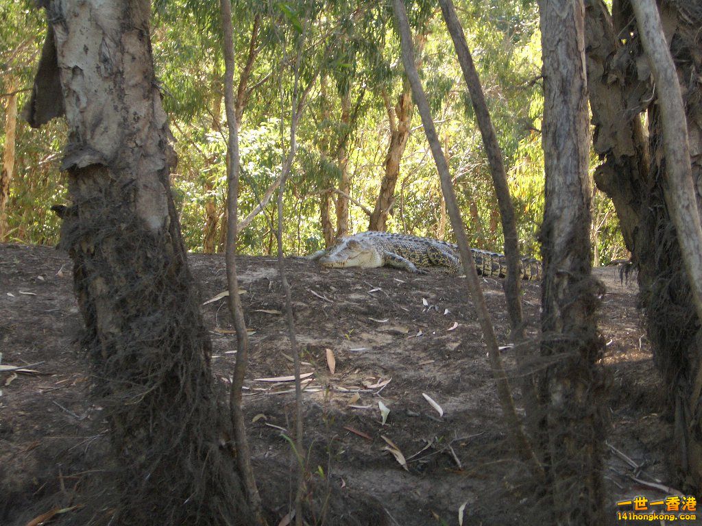 050527 380.JPG
