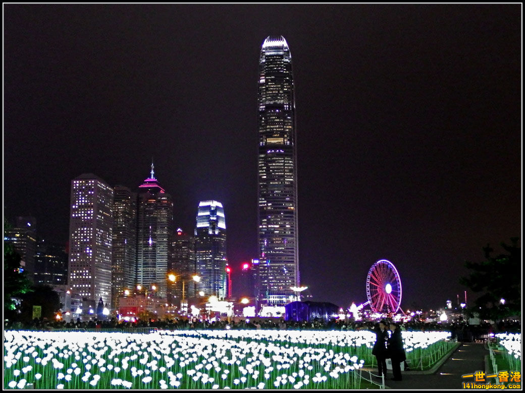 p006.jpg