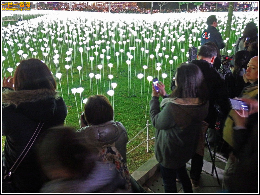 p007.jpg