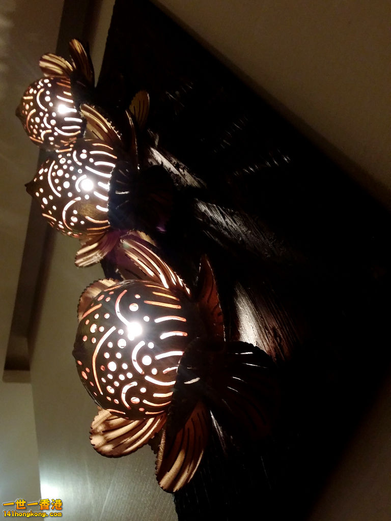 20160123_213612.jpg