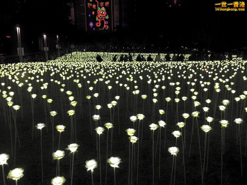 FLOWER.jpg