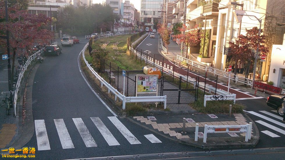 DSC_1273.JPG