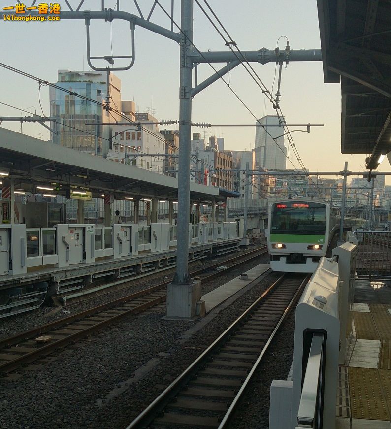 DSC_1355.JPG
