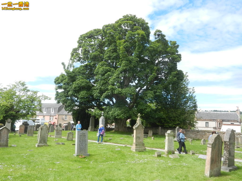 DSCN6449.JPG