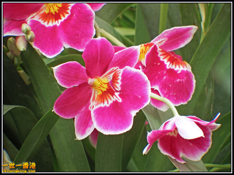 DSCF7328.jpg