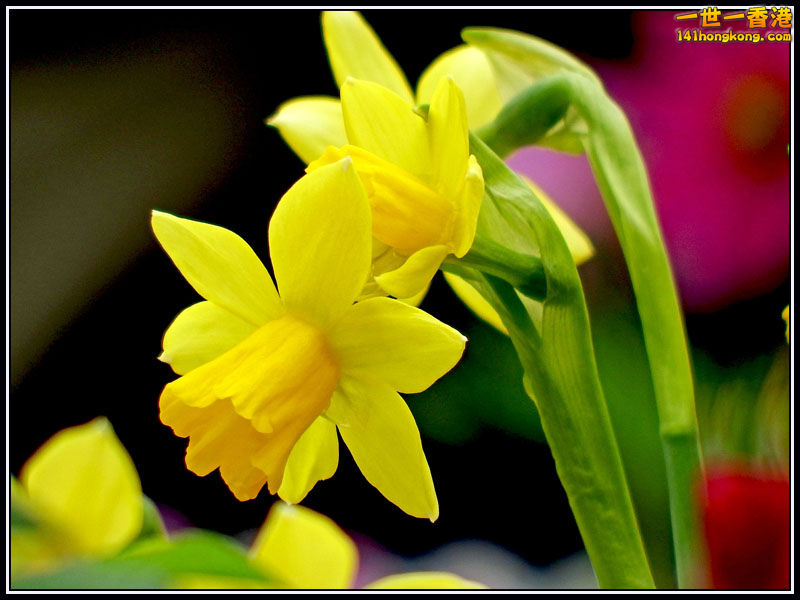 DSCF7332.jpg