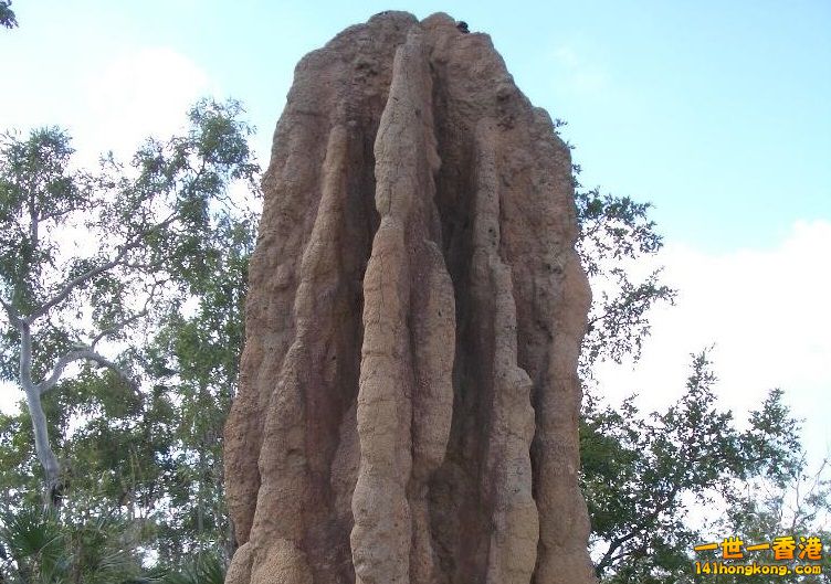 050527 397.JPG