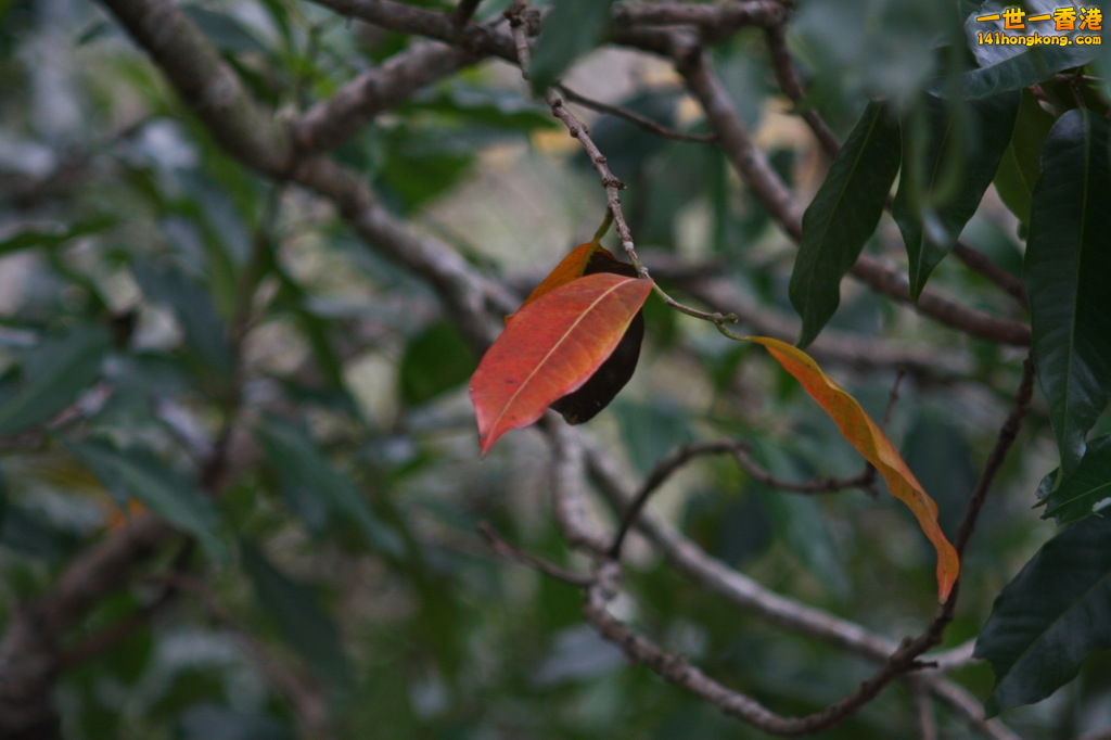 IMG_1260.1.jpg
