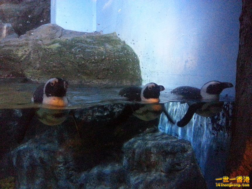 20151113_111728.jpg