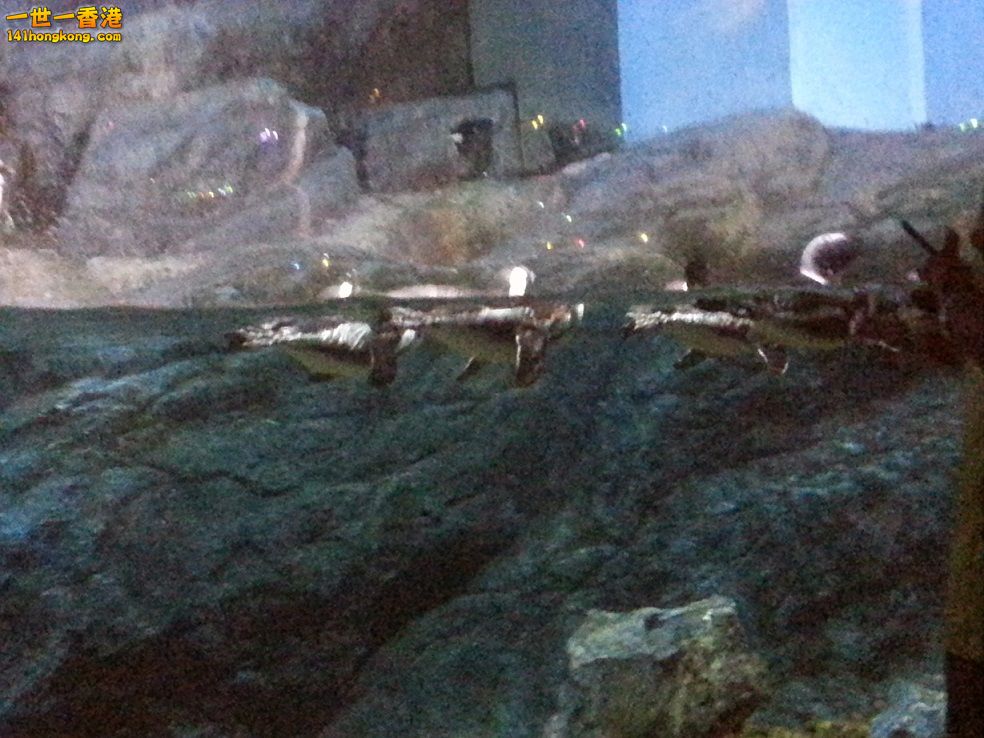 20151113_112202.jpg