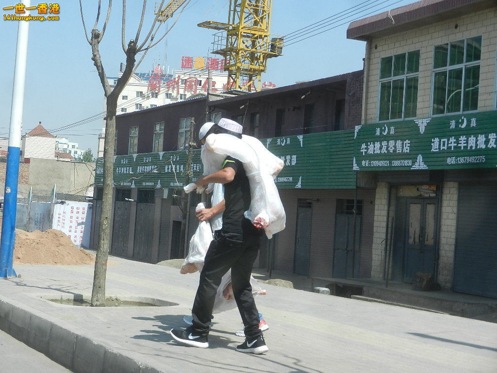 DSCN7238.JPG