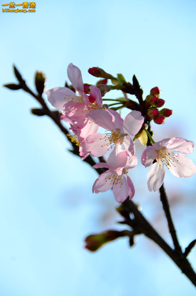 DSC_3206.jpg