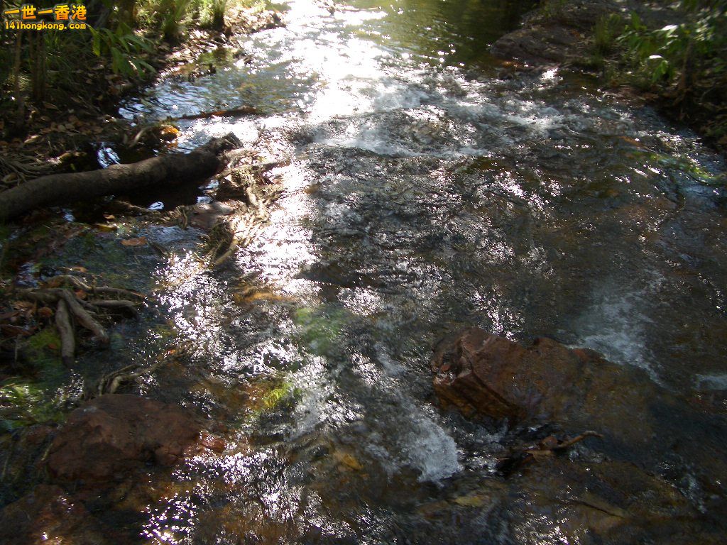 050527 436.JPG
