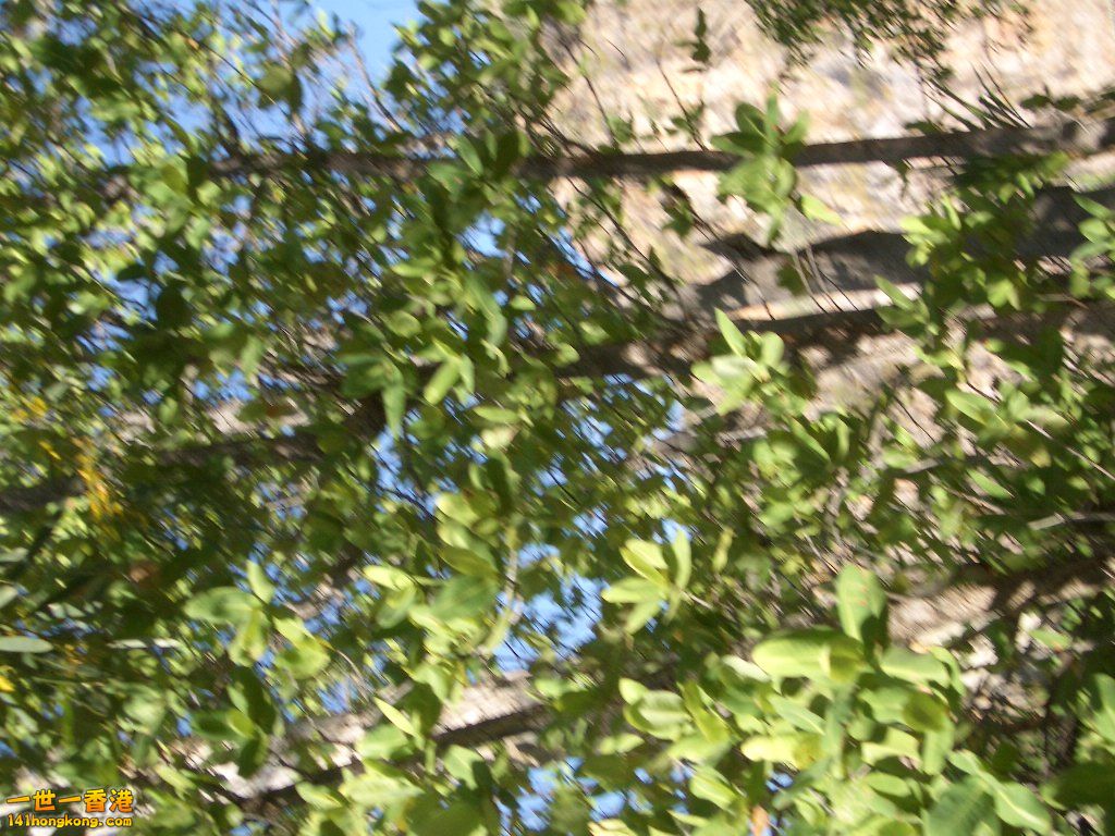 050527 490.JPG