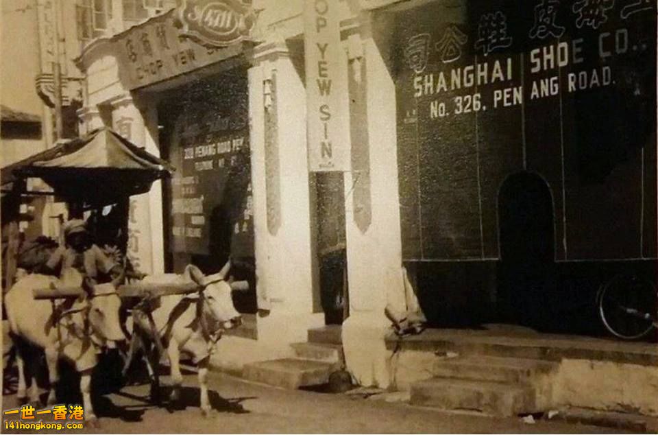 Penang   33.jpg