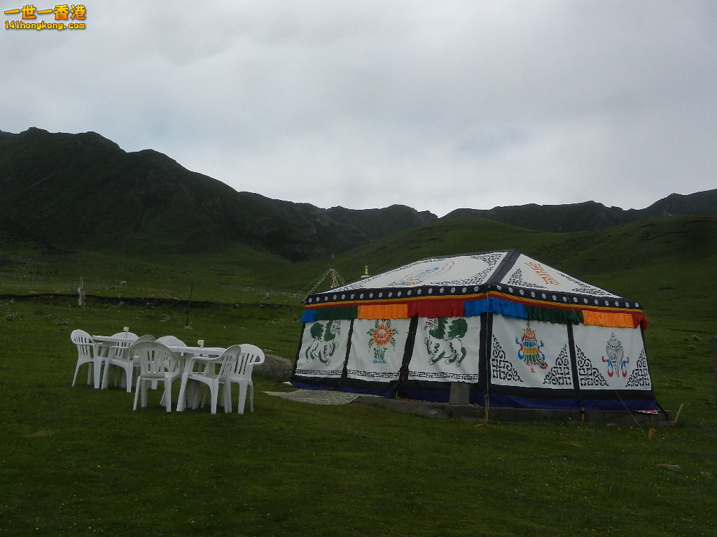 DSCN8563.JPG