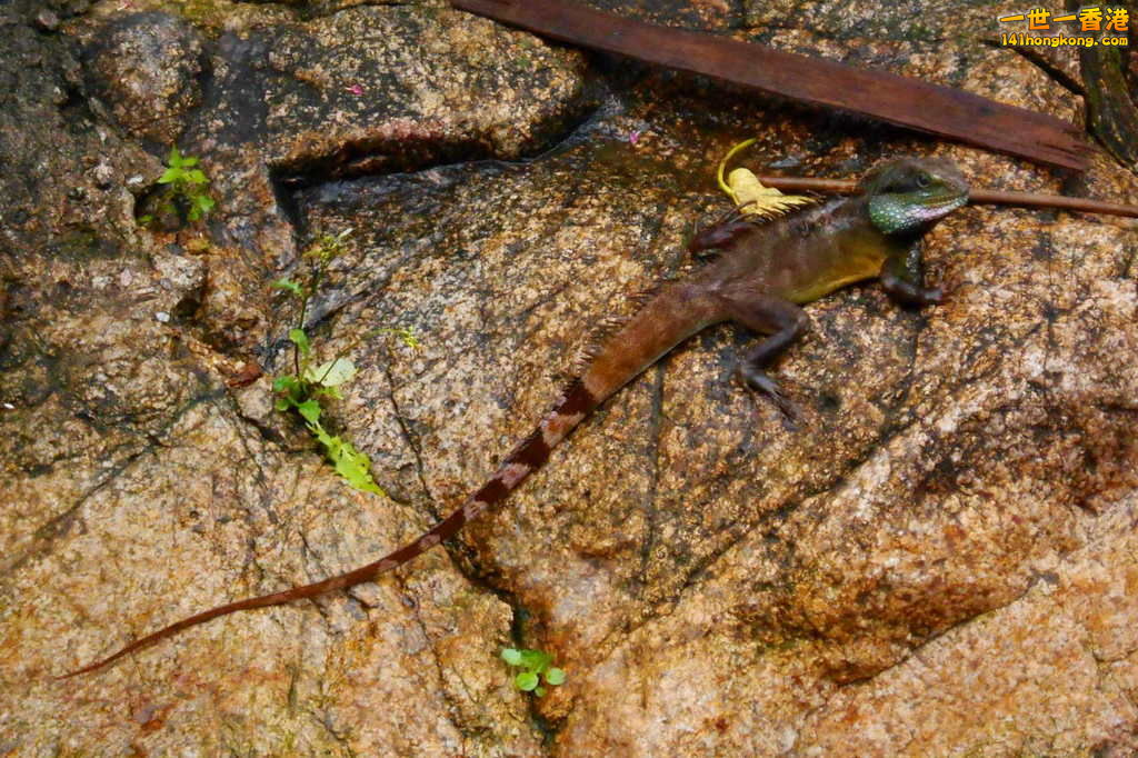 DSCN3311.1.jpg