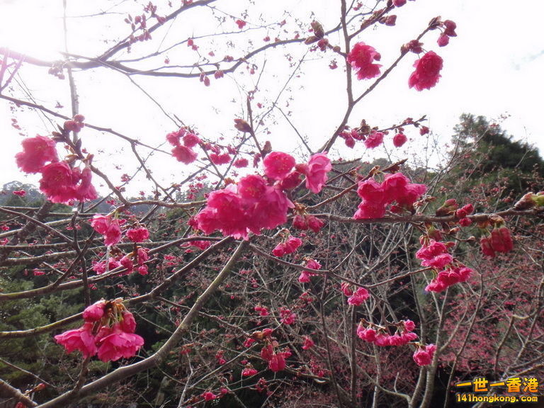 DSC01553.JPG