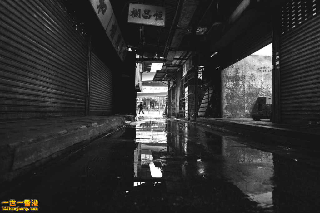 DSC03427t_meitu_1.jpg