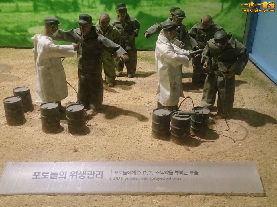 9a.jpg