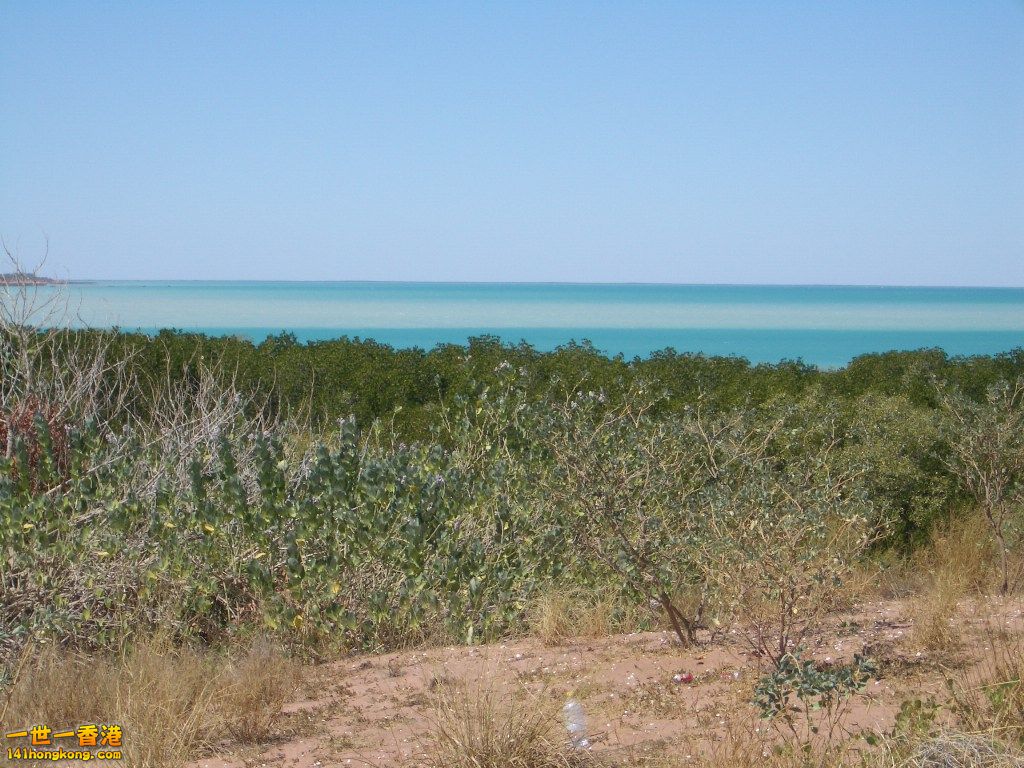 050527 029.JPG