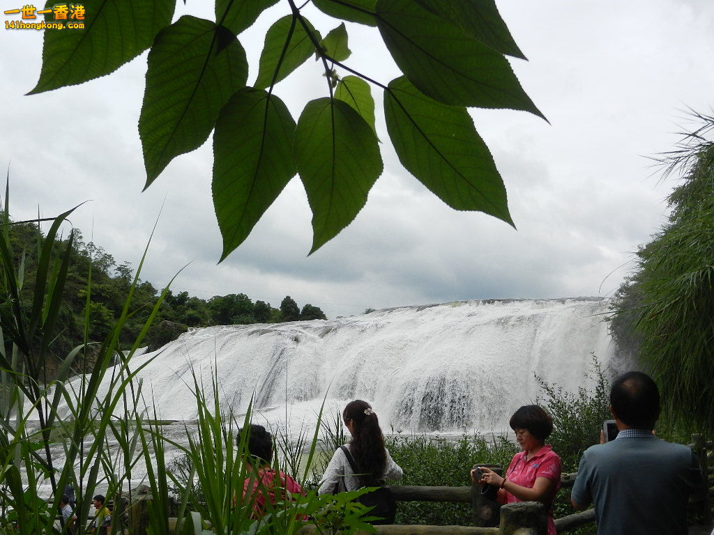DSCN9186.JPG