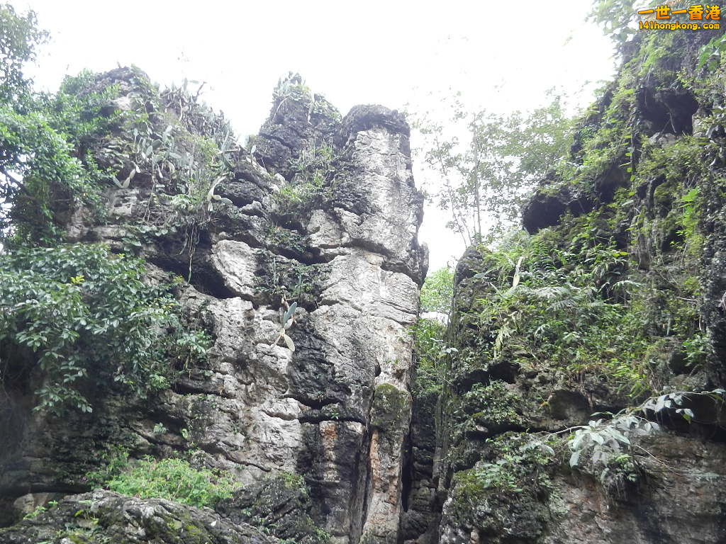 DSCN9261.JPG