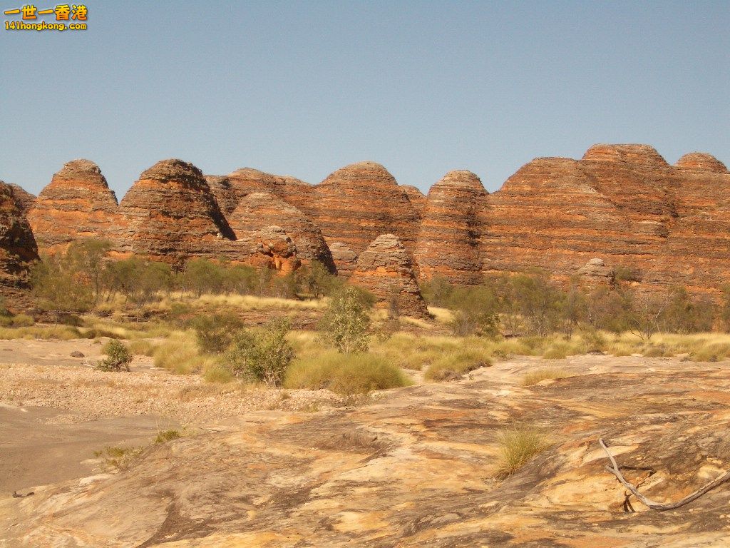050527 186.JPG
