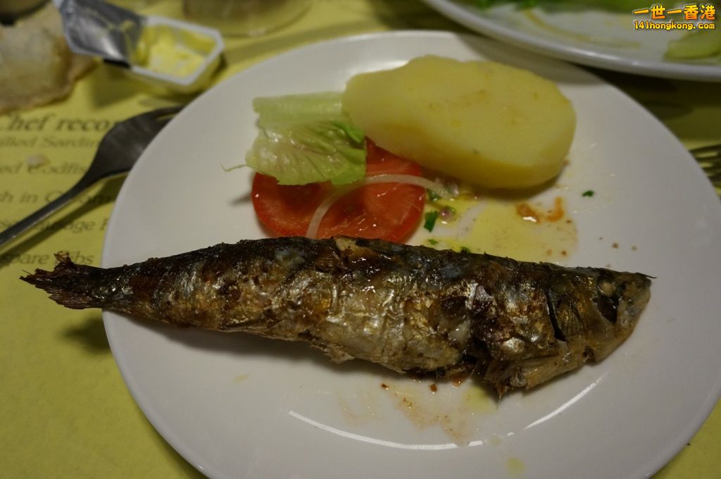 DSC01560.jpg