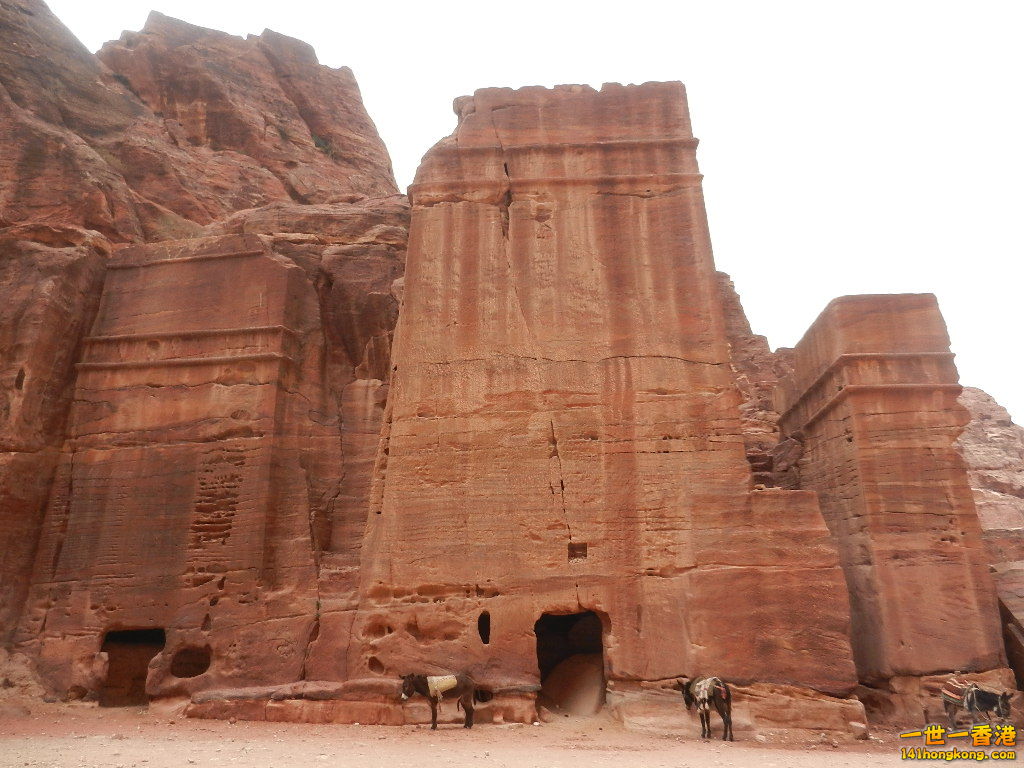 DSCN7114.JPG