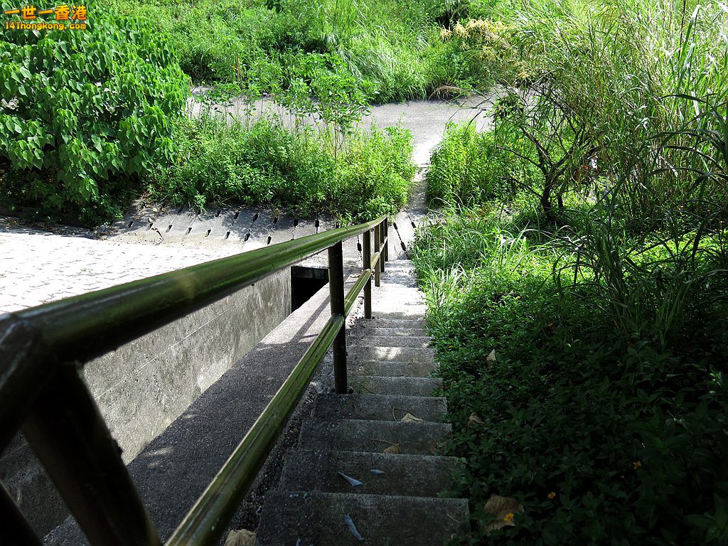 IMG_5373.JPG