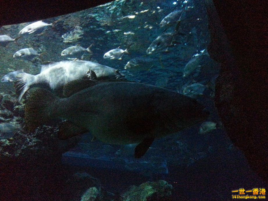 20151113_114519.jpg