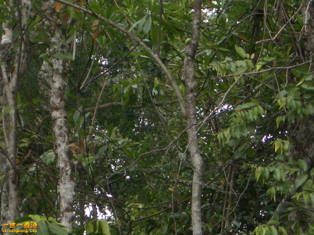 IMGP1224.JPG