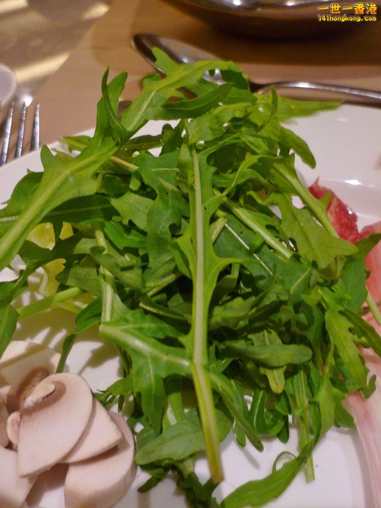 P1010958.JPG