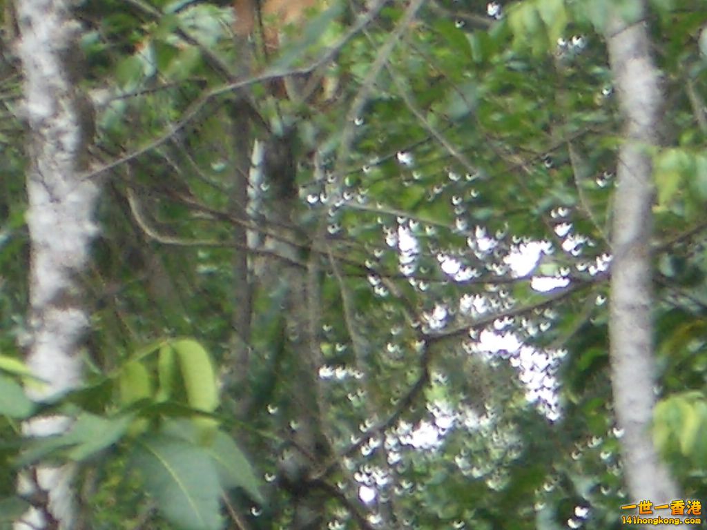 IMGP1226.JPG