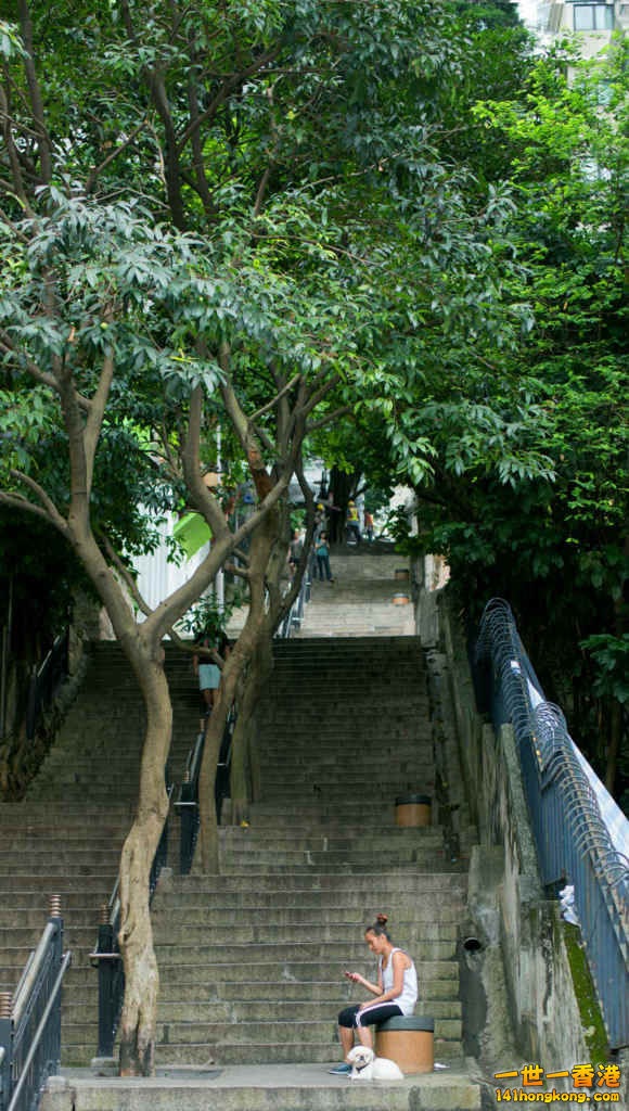 DSC05951t_meitu_1.jpg