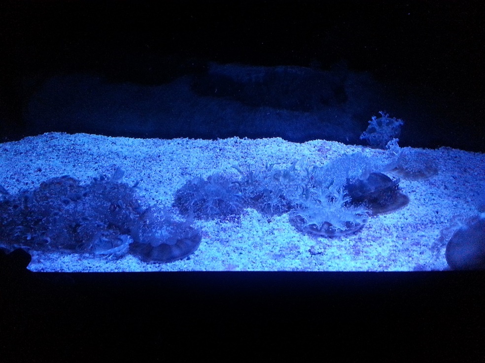 20151113_114718.jpg