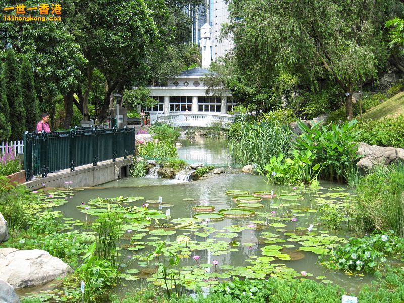 070623香港公園─荷花池 04.jpg