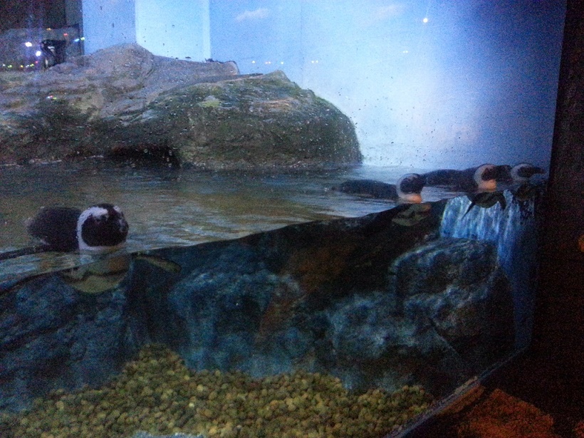 20151113_111707.jpg