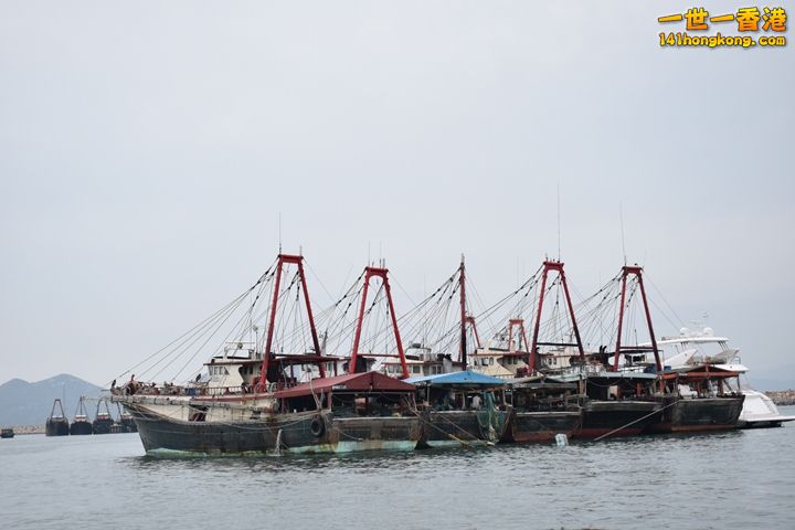 DSC_0407.JPG