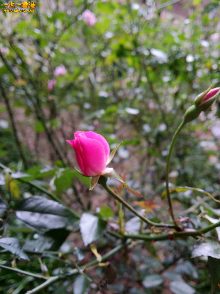 20160213_160715.jpg
