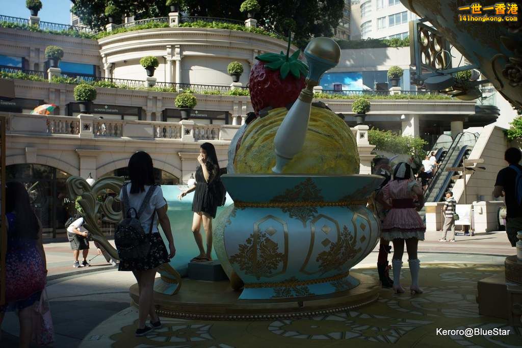 DSC04938.JPG
