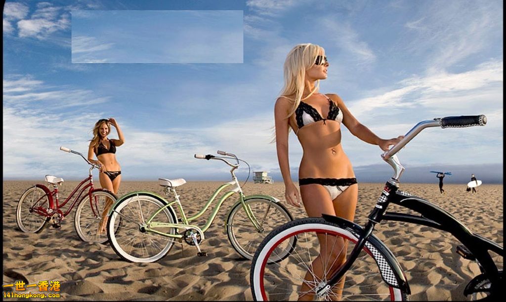 07-Bicycles-Beach-Houndstooth.jpg