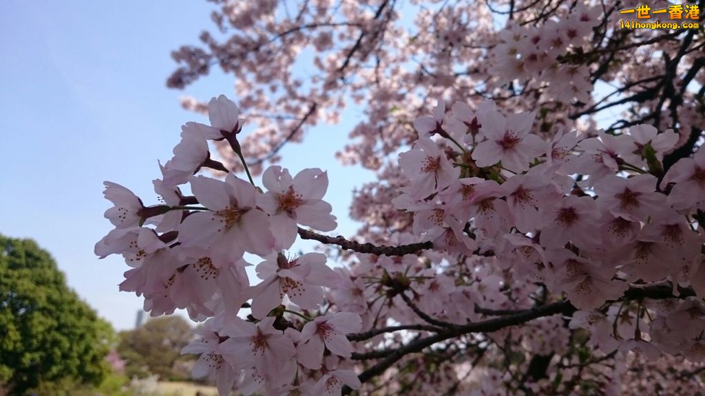 IMG-20160406-WA0018.jpg